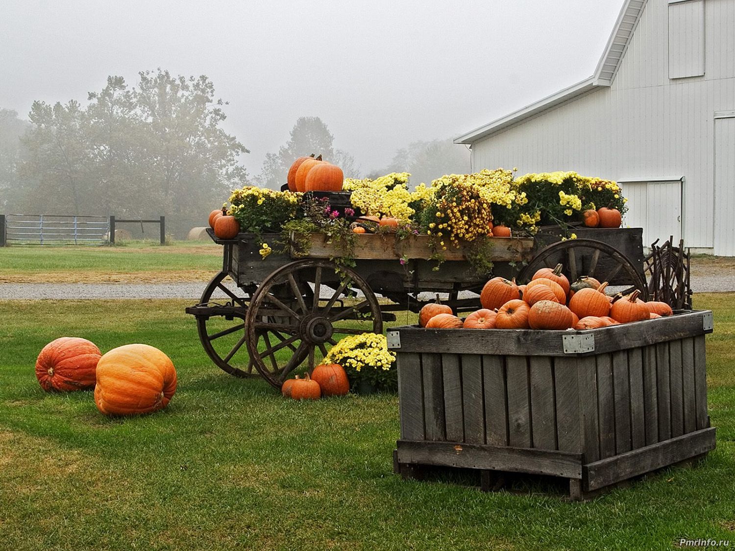 Урожай, Приднестровье, экономика