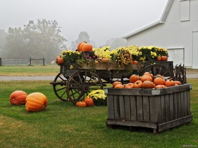 Урожай, Приднестровье, экономика